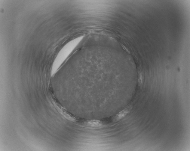 X0000051890666200507151940