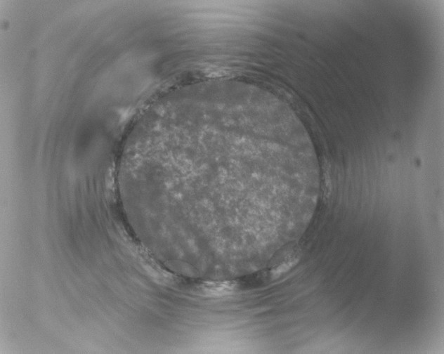 X0000051890667200507151940