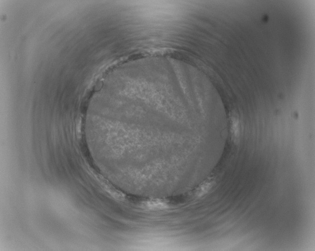 X0000051890668200507151940