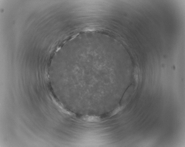 X0000051890670200507151940