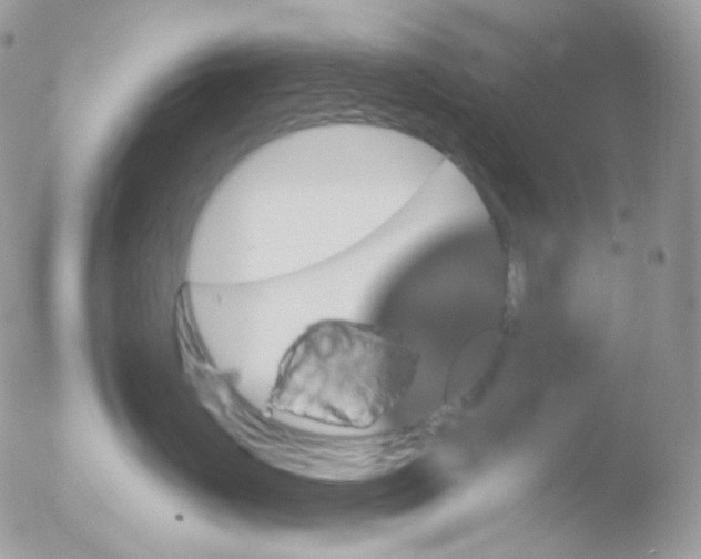 X0000051890671200507151940