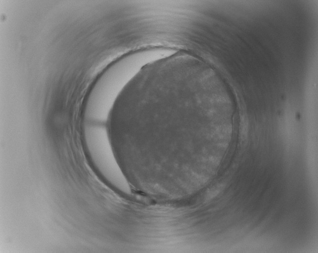 X0000051890673200507151939