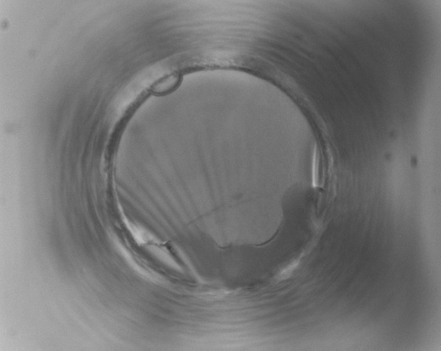 X0000051890674200507151939