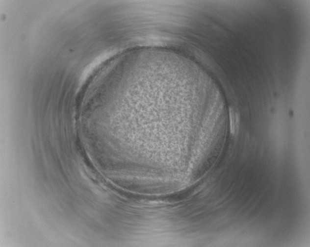 X0000051890675200507151939