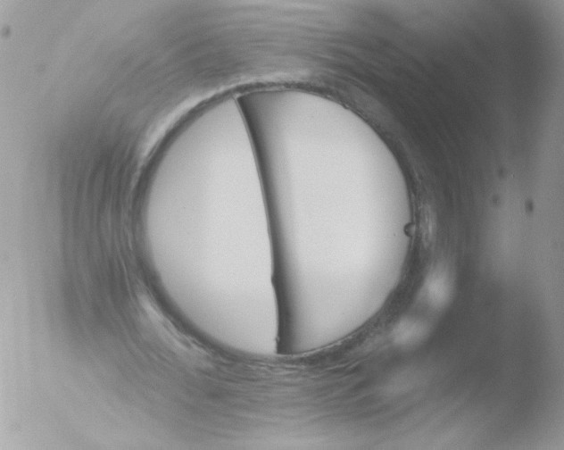 X0000051890676200507151939