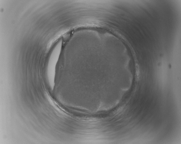 X0000051890677200507151939