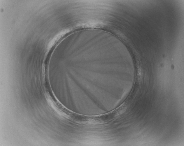 X0000051890678200507151939