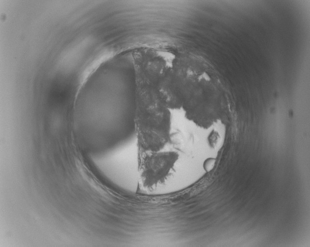 X0000051890679200507151939