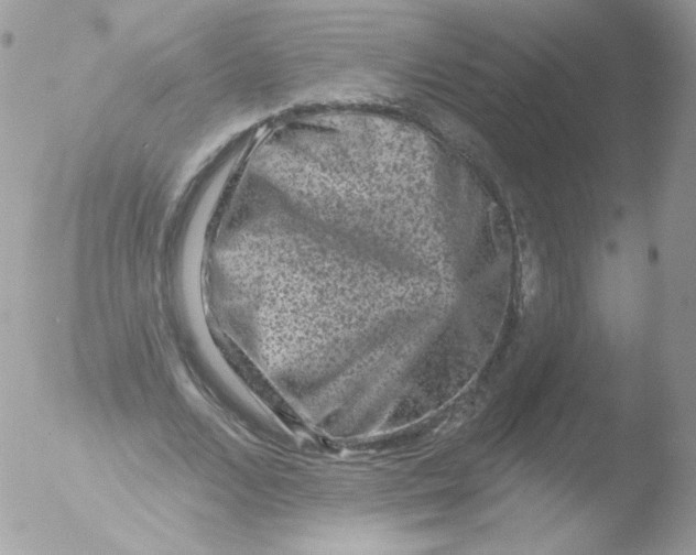 X0000051890680200507151939