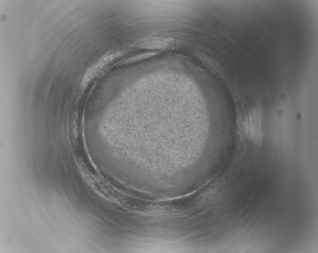 X0000051890682200507151939