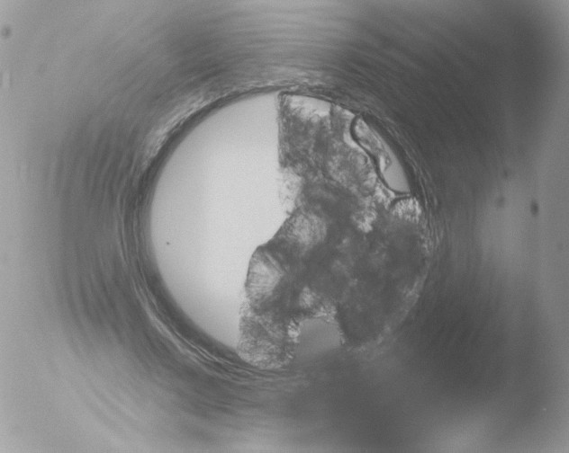 X0000051890683200507151939