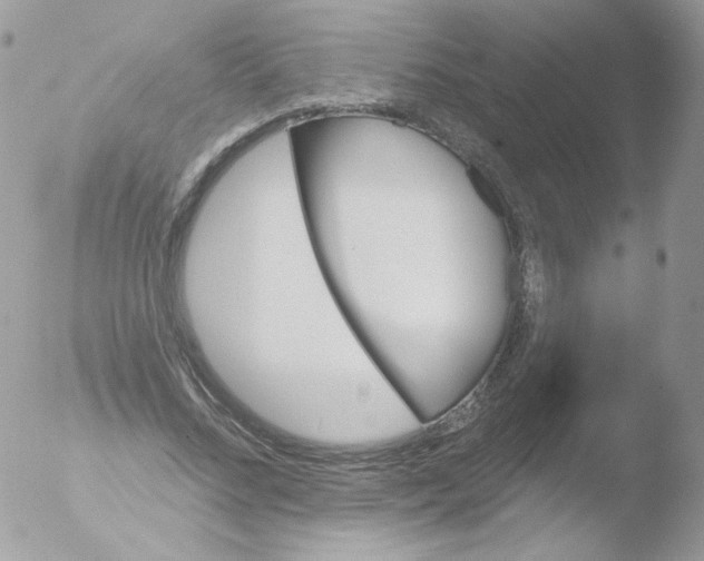 X0000051890684200507151939