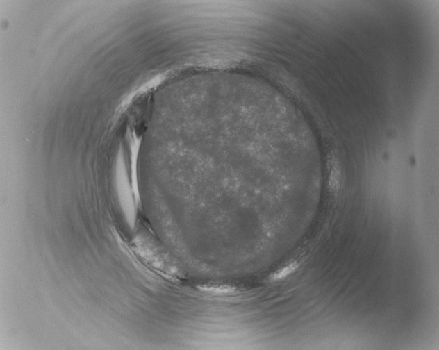 X0000051890685200507151939