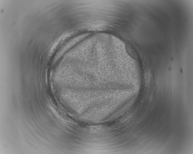 X0000051890686200507151939