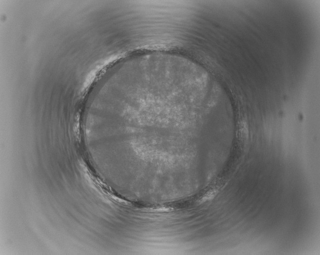 X0000051890688200507151939