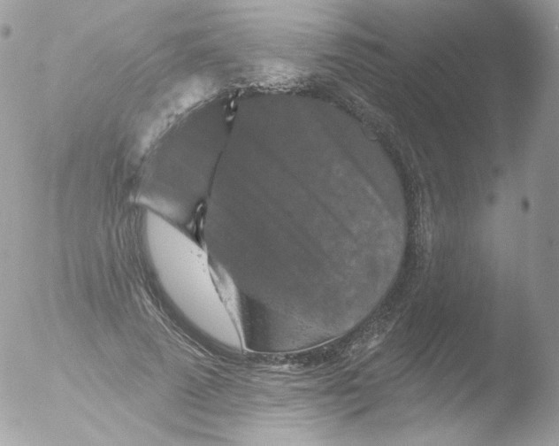 X0000051890689200507151939