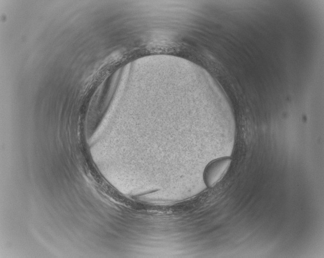 X0000051890690200507151939