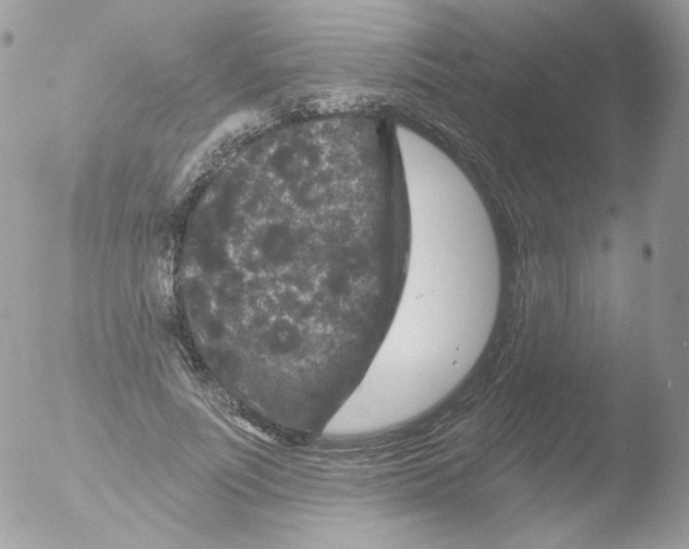 X0000051890691200507151939