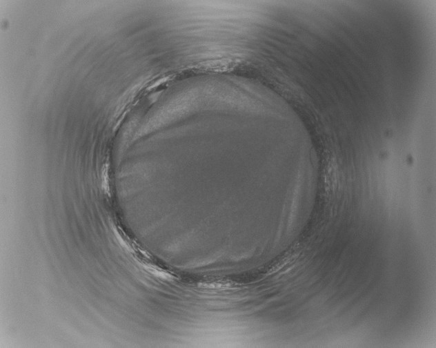 X0000051890693200507151939