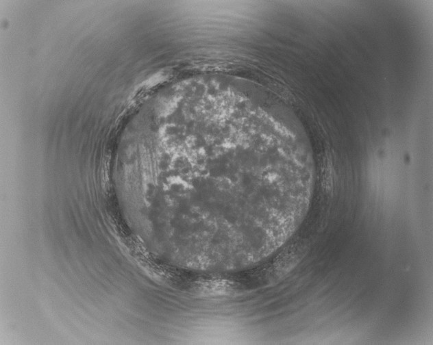 X0000051890695200507151939