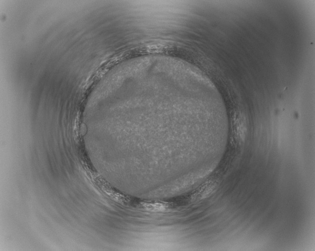 X0000051890698200507151939