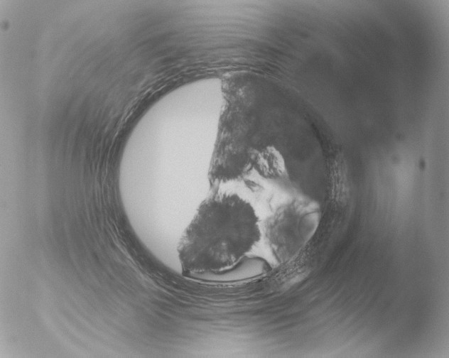 X0000051890699200507151939