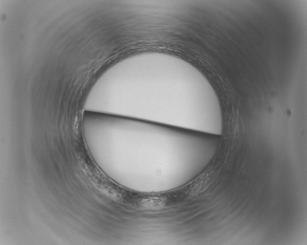 X0000051890700200507151939