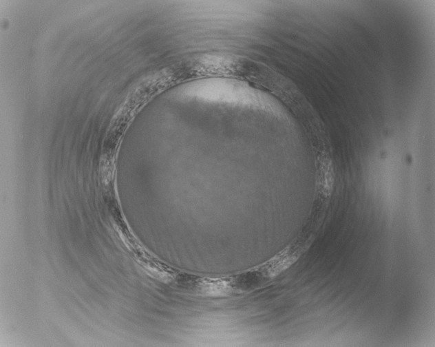 X0000051890701200507151939