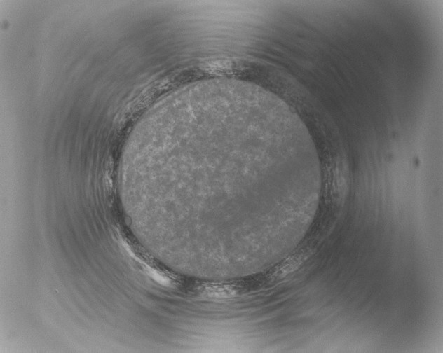 X0000051890702200507151939