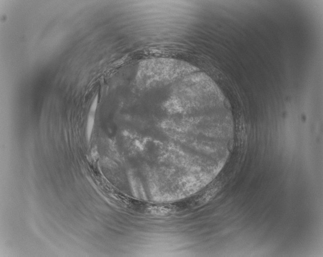 X0000051890703200507151939