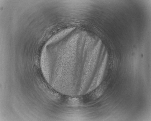 X0000051890706200507151939