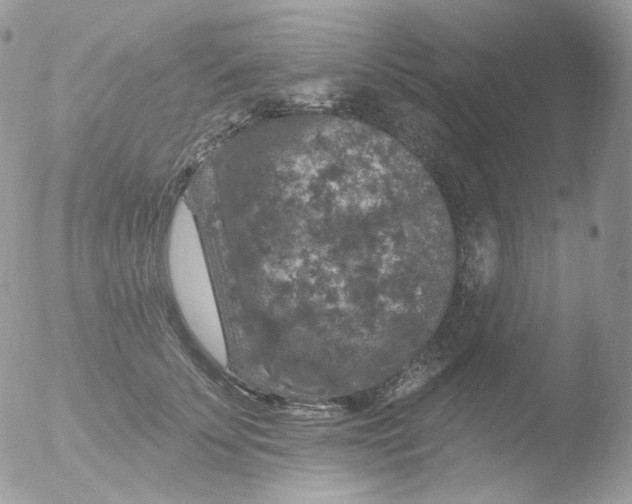 X0000051890707200507151939