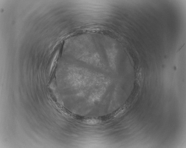 X0000051890708200507151939