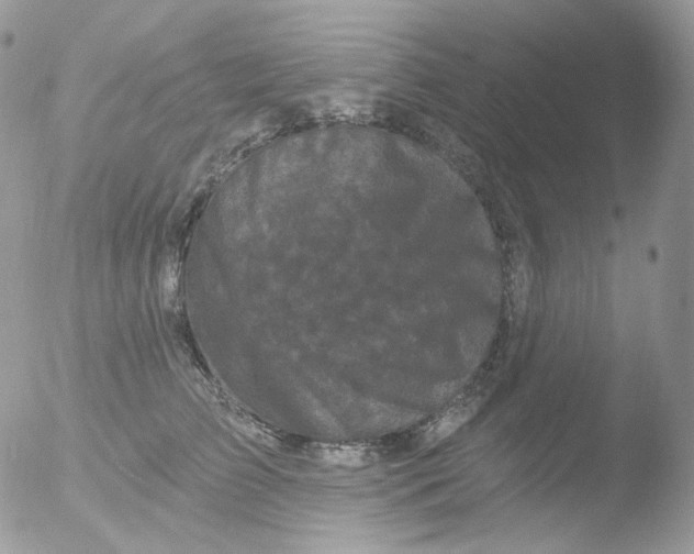 X0000051890709200507151939