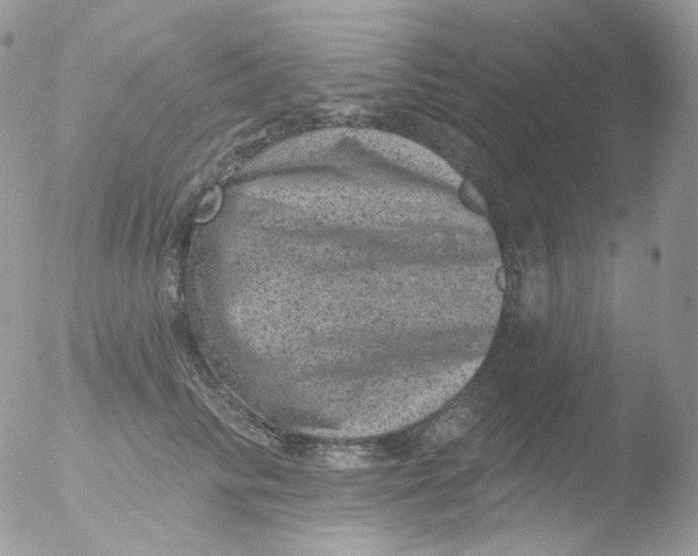 X0000051890710200507151939