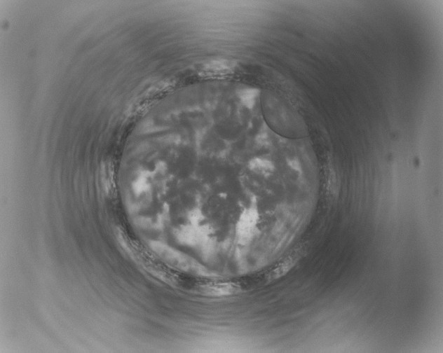 X0000051890711200507151939