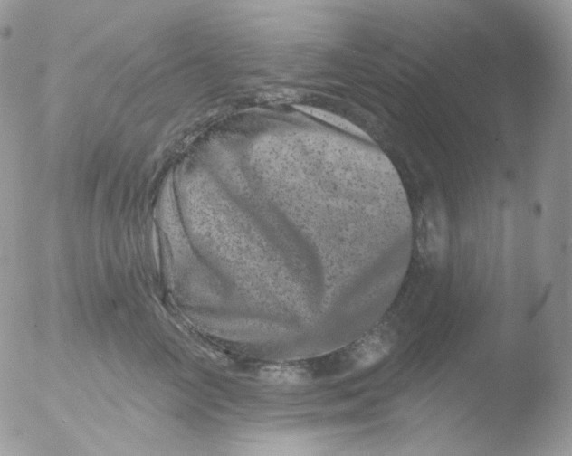 X0000051890714200507151939