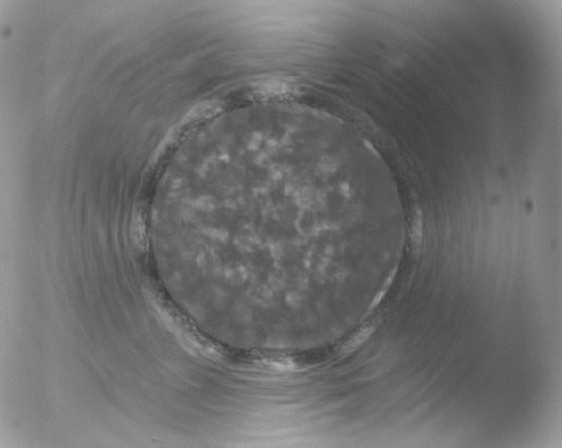 X0000051890715200507151938