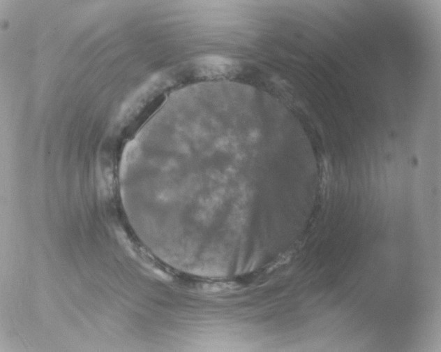 X0000051890716200507151938