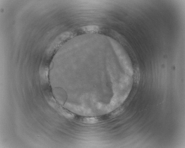 X0000051890717200507151938