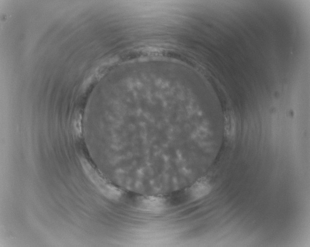 X0000051890718200507151938