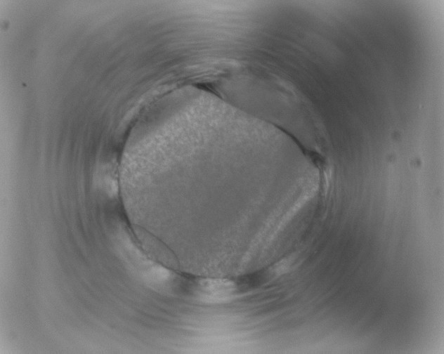 X0000051890719200507151938