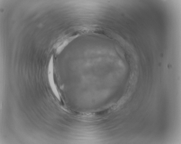 X0000051890720200507151938