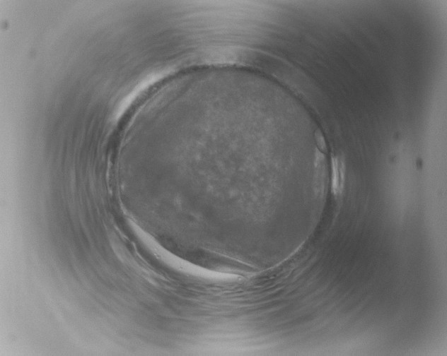 X0000051890723200507151938