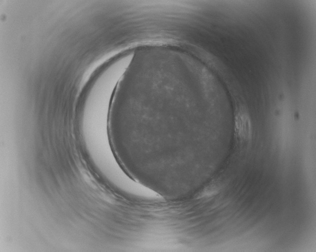 X0000051890724200507151938