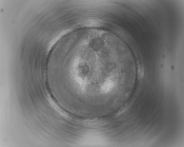 X0000051890725200507151938