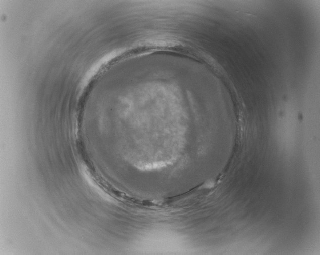 X0000051890726200507151938