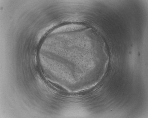 X0000051890727200507151938