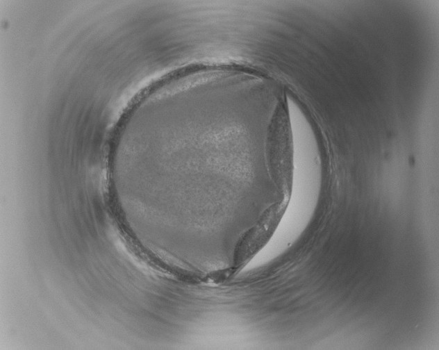 X0000051890728200507151938