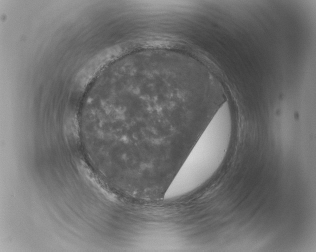 X0000051890729200507151938